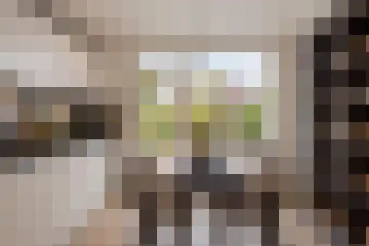 Markiezenstraat 22 Wouw thumbnail 8