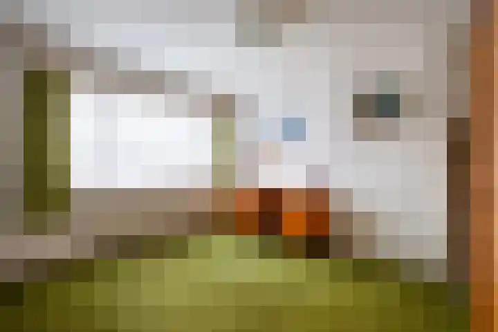 Markiezenstraat 6 Wouw thumbnail 12
