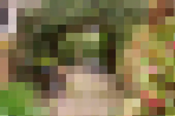 Markiezenstraat 6 Wouw thumbnail 24