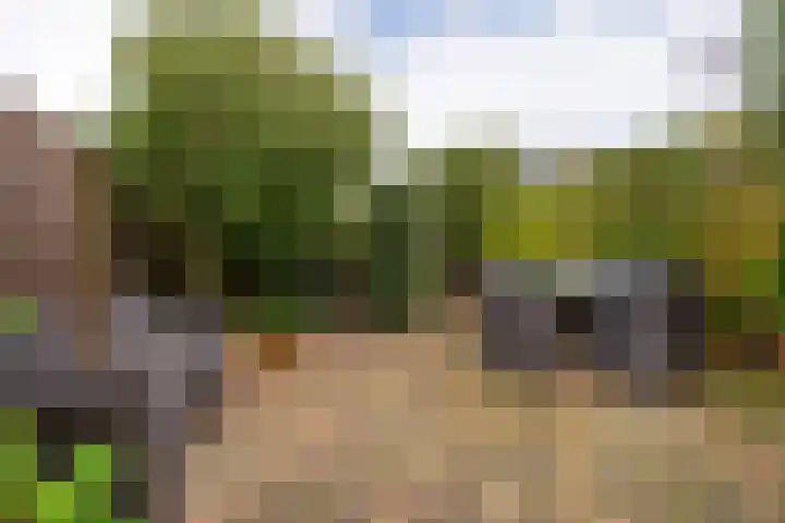Markiezenstraat 6 Wouw thumbnail 25