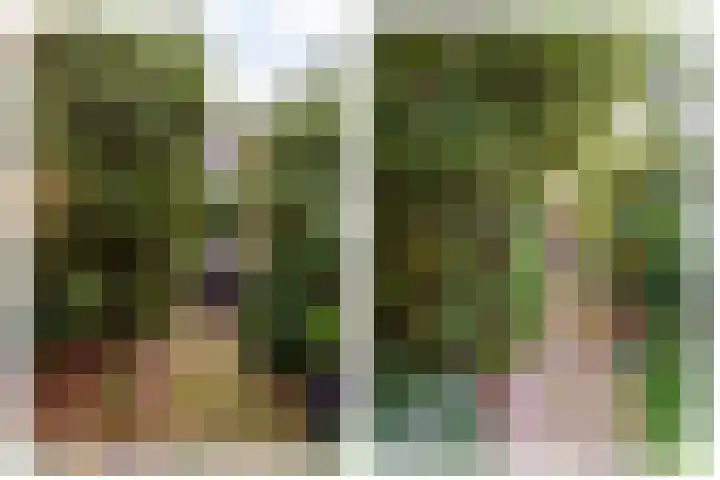 Markiezenstraat 6 Wouw thumbnail 26