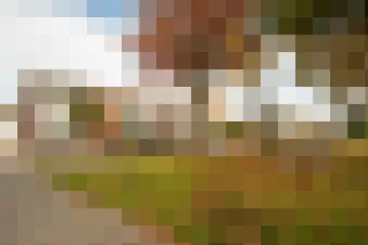 Markiezenstraat 6 Wouw thumbnail 29