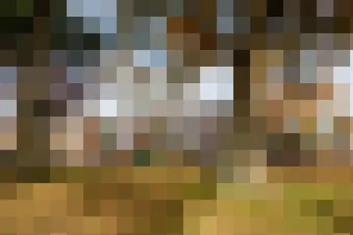 Markiezenstraat 6 Wouw thumbnail 30