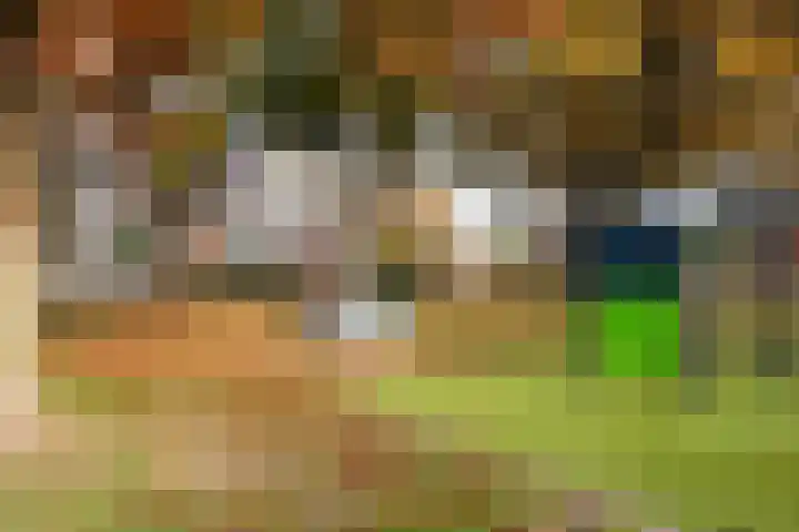 Markiezenstraat 6 Wouw thumbnail 31