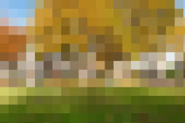 Markiezenstraat 6 Wouw thumbnail 32