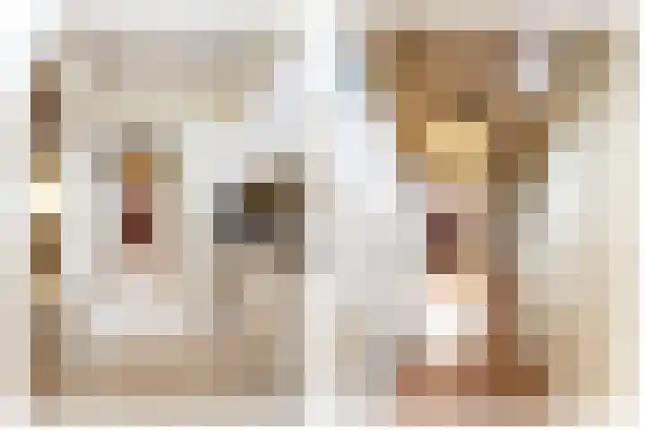 Markiezenstraat 6 Wouw thumbnail 9