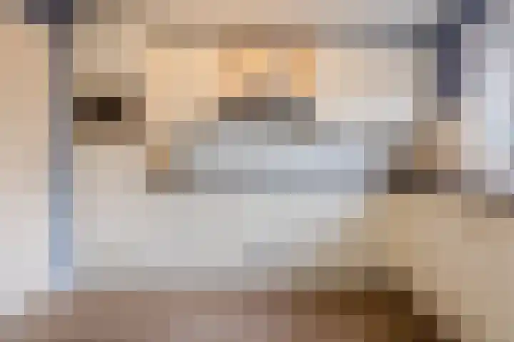 Markiezenstraat 8 Philippine thumbnail 12