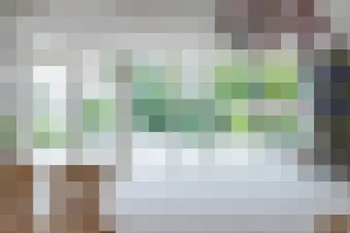 Markiezinnestraat 4 Geldrop thumbnail 11