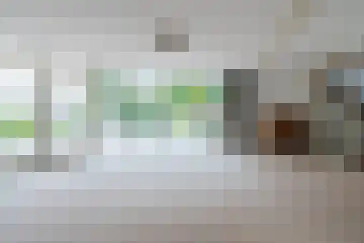 Markiezinnestraat 4 Geldrop thumbnail 12