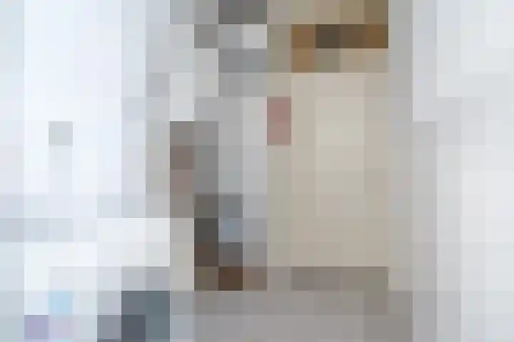 Markiezinnestraat 4 Geldrop thumbnail 22