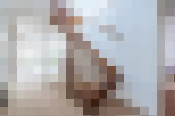 Markiezinnestraat 4 Geldrop thumbnail 24