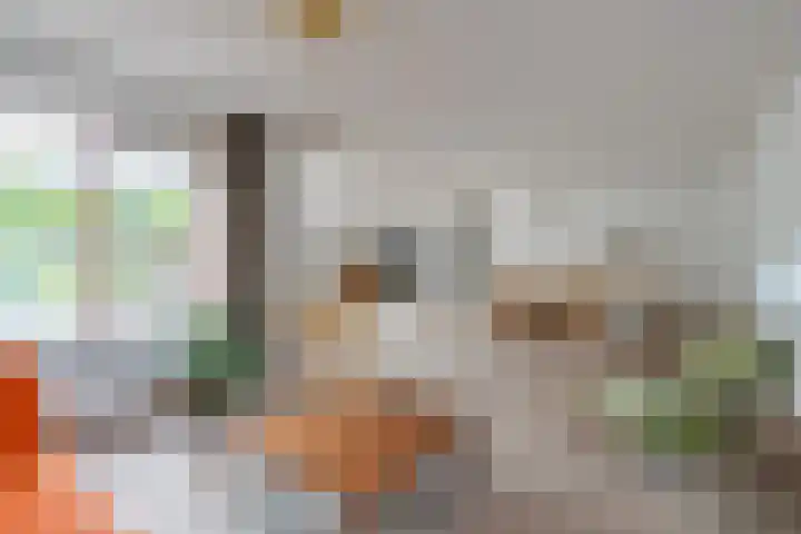 Markiezinnestraat 4 Geldrop thumbnail 7