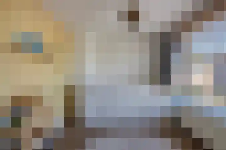 Markkant 1 Terheijden thumbnail 24