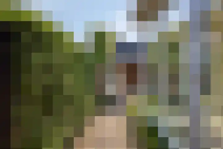 Markkant 1 Terheijden thumbnail 34