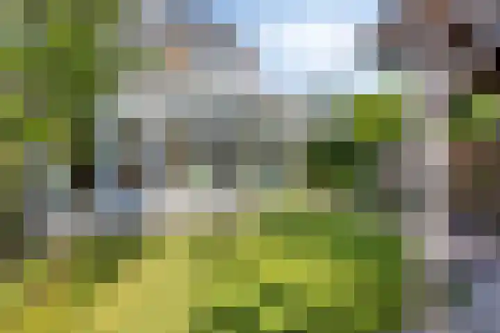 Markkant 1 Terheijden thumbnail 5