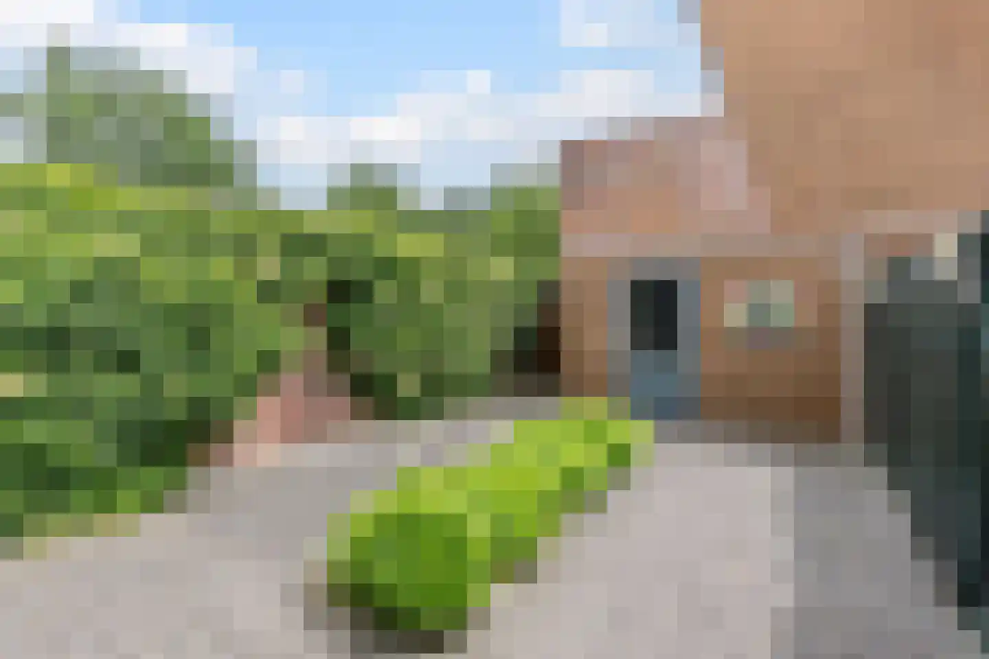 Markkant 41 Oosterhout thumbnail 42