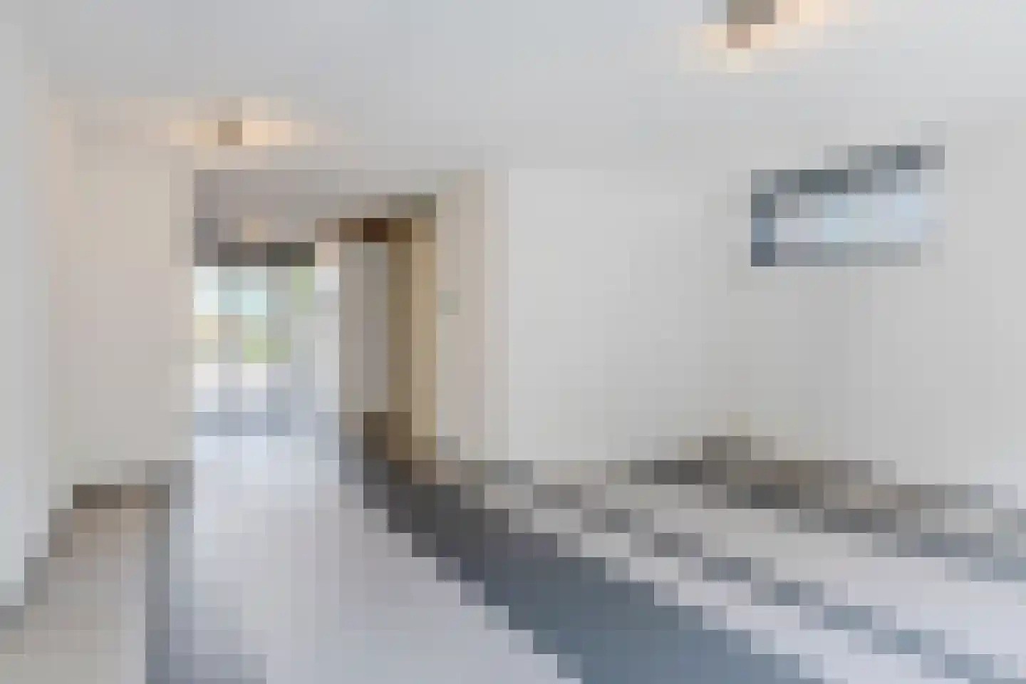 Markkant 41 Oosterhout thumbnail 6