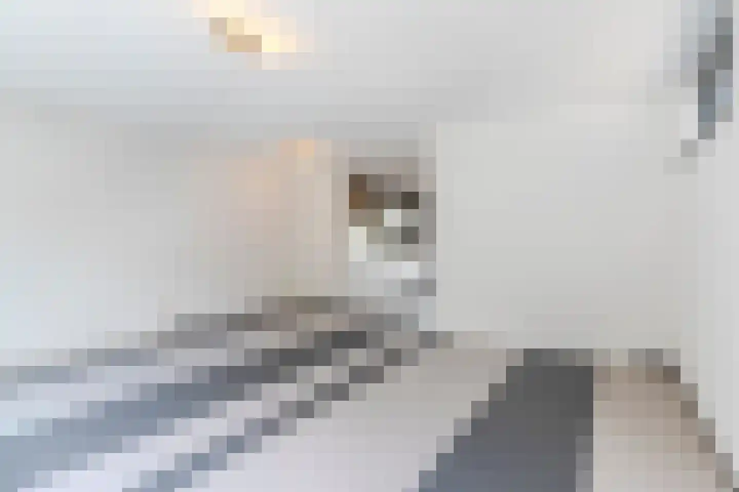 Markkant 41 Oosterhout thumbnail 7