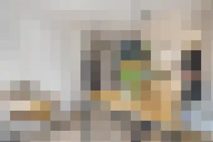 Markkant 53 Oosterhout thumbnail 12