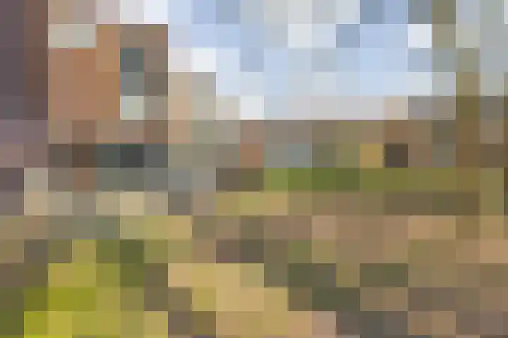Markkant 53 Oosterhout thumbnail 51