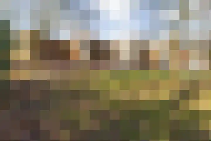 Markkant 53 Oosterhout thumbnail 52