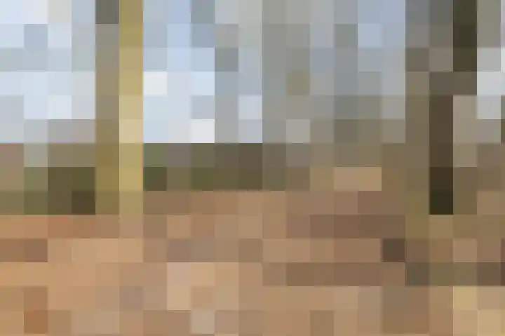 Markkant 53 Oosterhout thumbnail 53