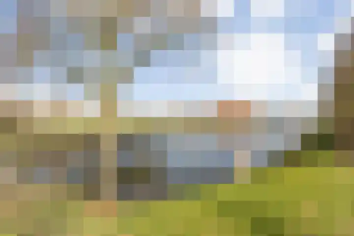 Markkant 53 Oosterhout thumbnail 54