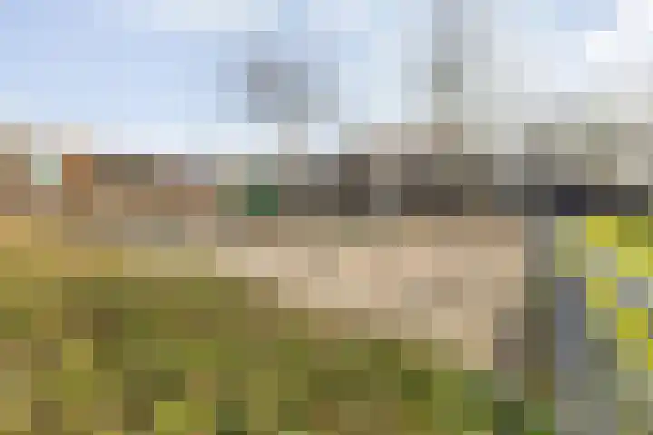 Markkant 53 Oosterhout thumbnail 55