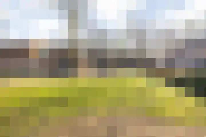 Markkant 53 Oosterhout thumbnail 6