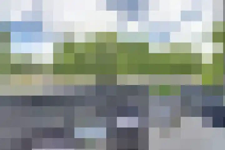 Markkant 86 Oosterhout thumbnail 13