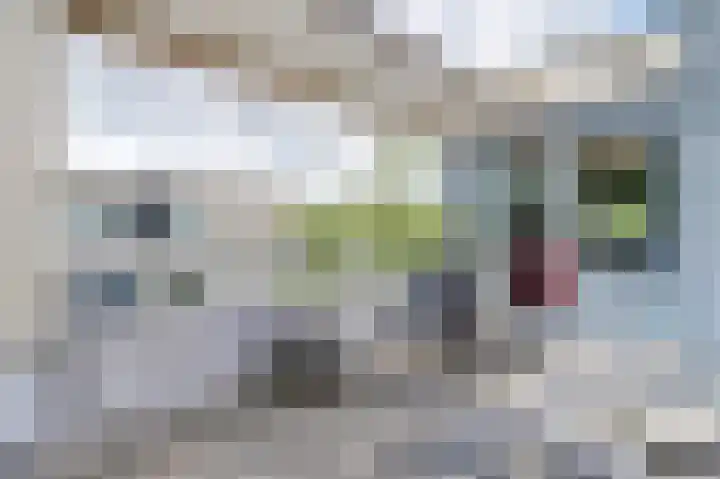 Markkant 86 Oosterhout thumbnail 39
