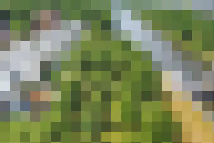 Markkant 86 Oosterhout thumbnail 45