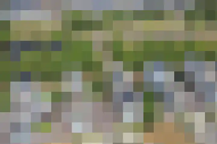 Markkant 86 Oosterhout thumbnail 47