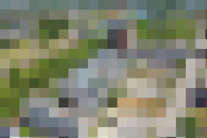 Markkant 86 Oosterhout thumbnail 48
