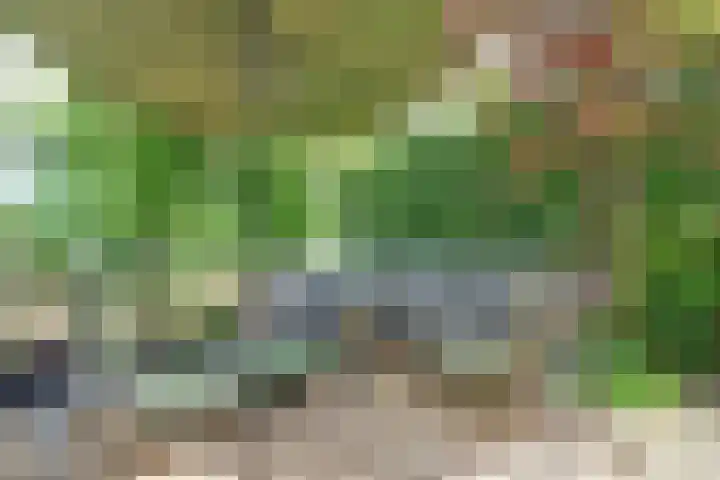 Markkant 86 Oosterhout thumbnail 5