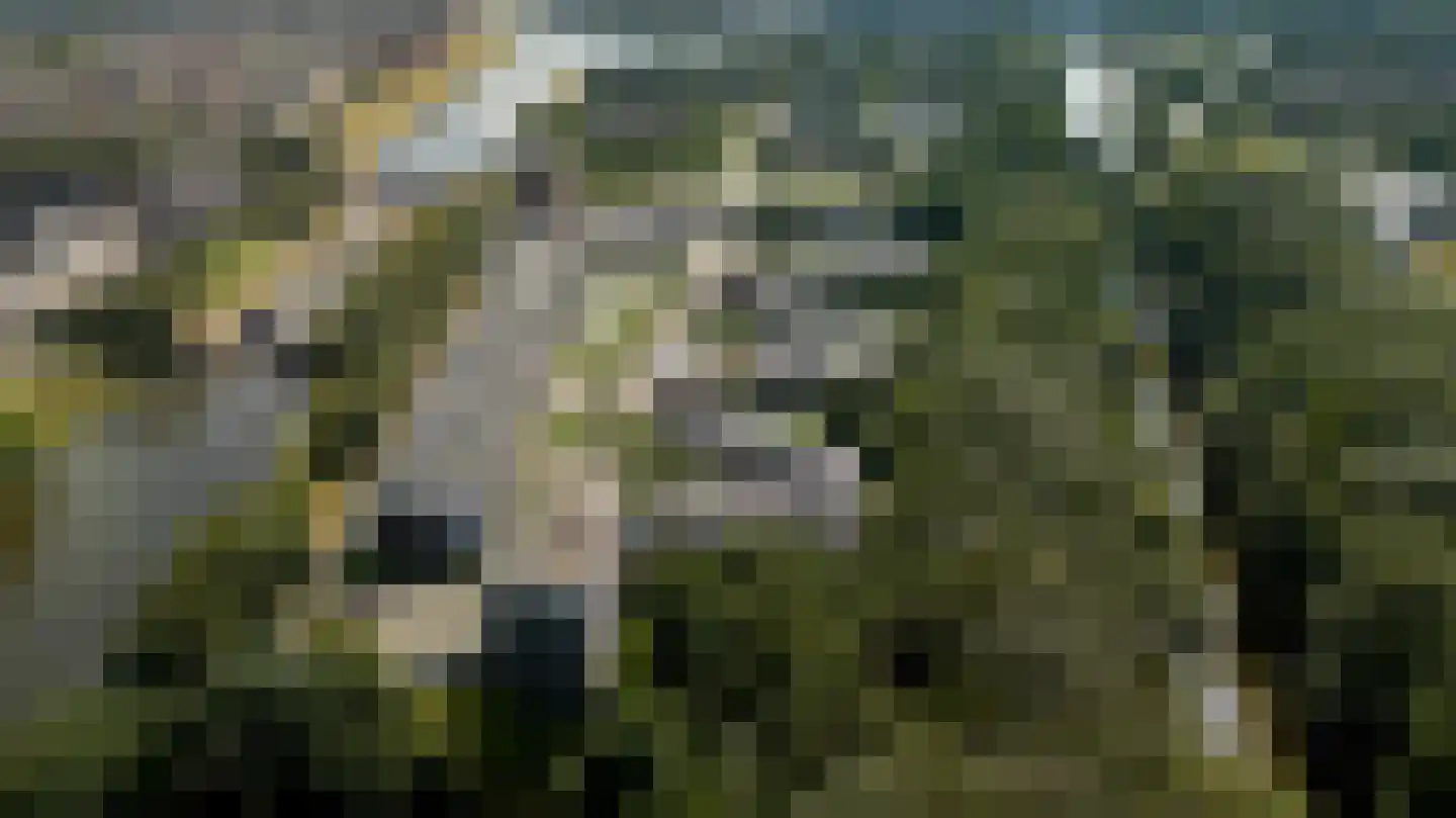 Markkant 91 Oosterhout thumbnail 27