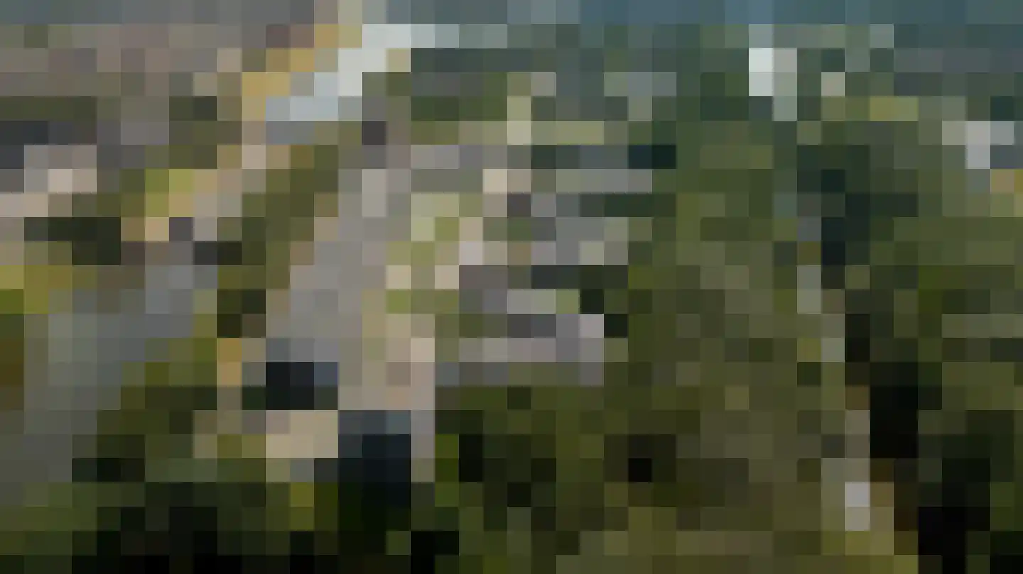 Markkant 91 Oosterhout thumbnail 28