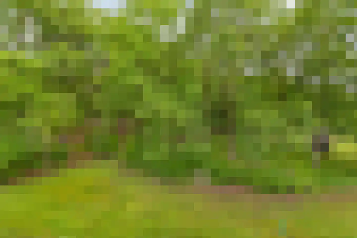 Markkant 91 Oosterhout thumbnail 4