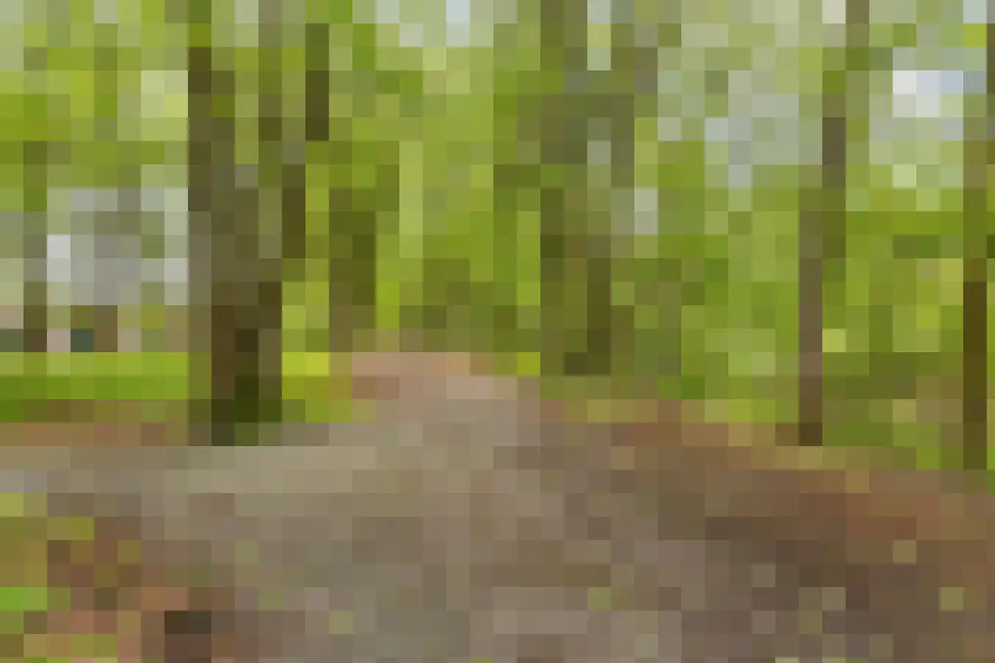 Markkant 91 Oosterhout thumbnail 40