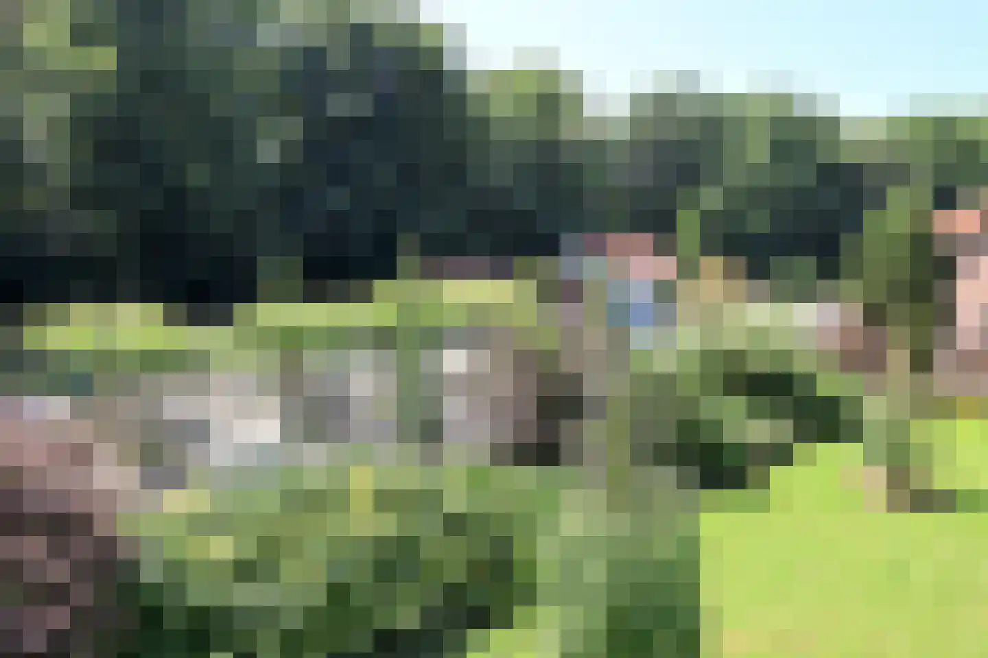 Marknesserweg 28 Marknesse thumbnail 10