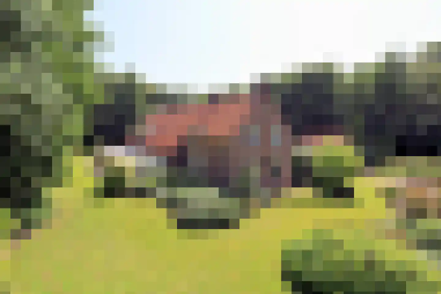 Marknesserweg 28 Marknesse thumbnail 16