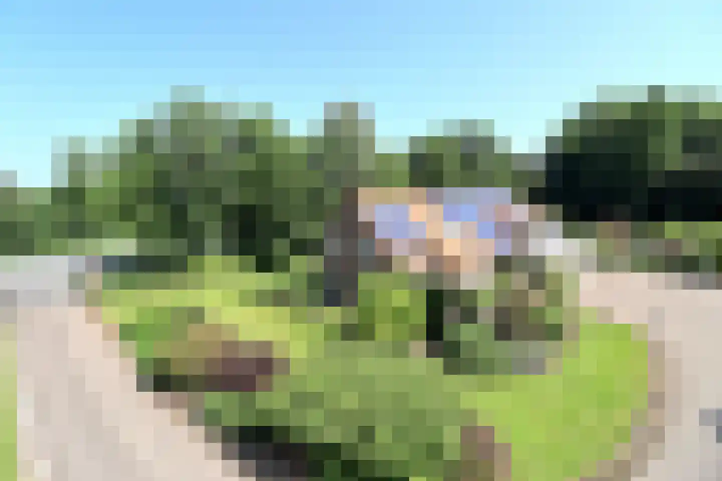 Marknesserweg 28 Marknesse thumbnail 17