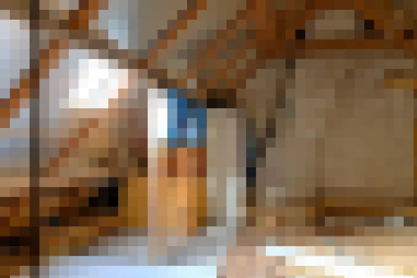 Marknesserweg 28 Marknesse thumbnail 21