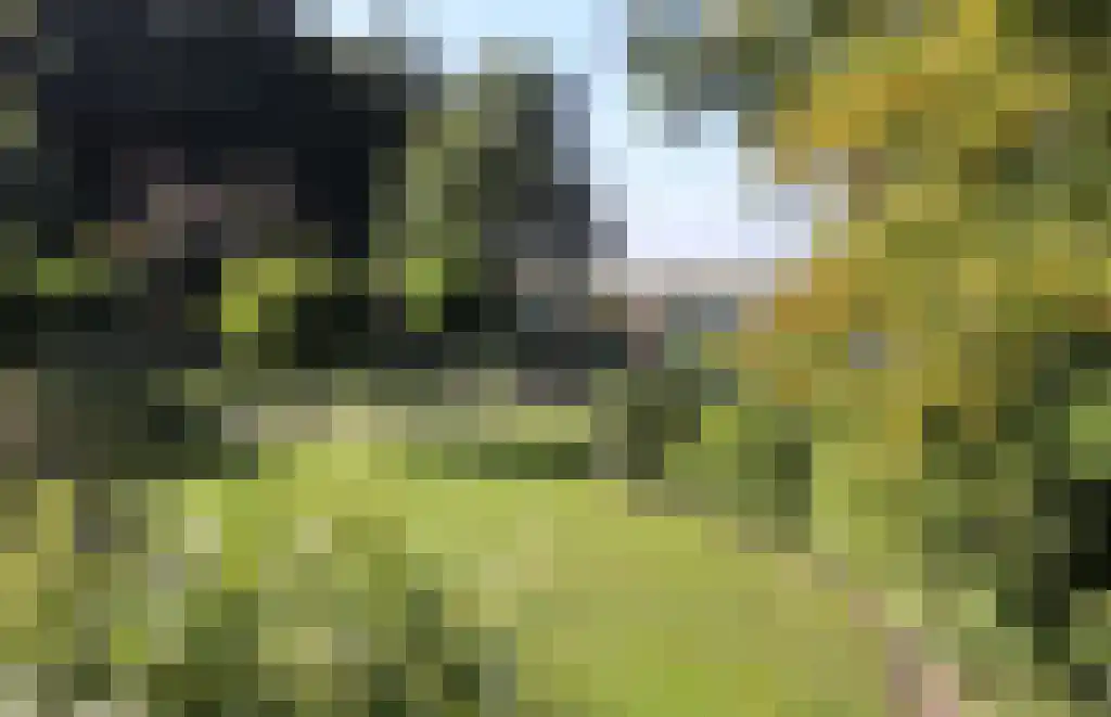 Marknesserweg 28 Marknesse thumbnail 27