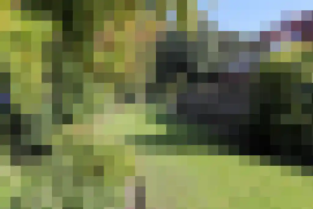 Marknesserweg 28 Marknesse thumbnail 33