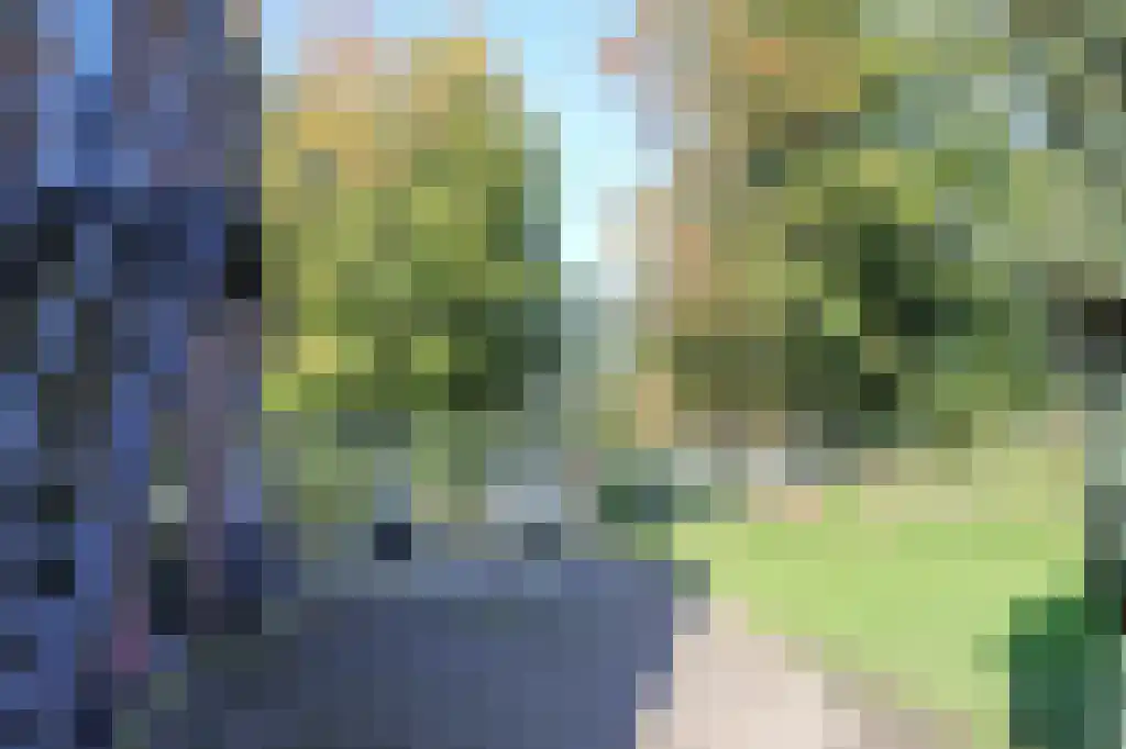 Marknesserweg 28 Marknesse thumbnail 34