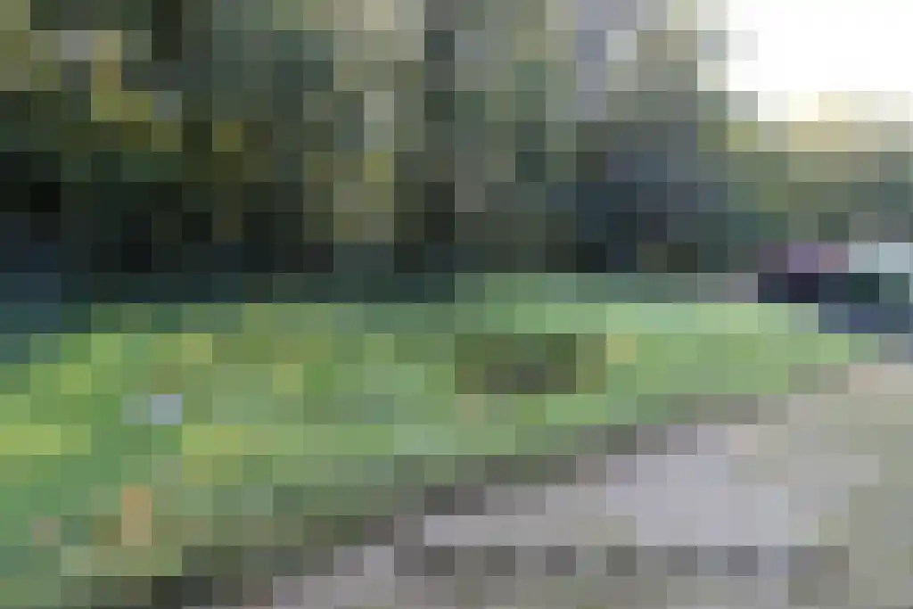 Marknesserweg 28 Marknesse thumbnail 38