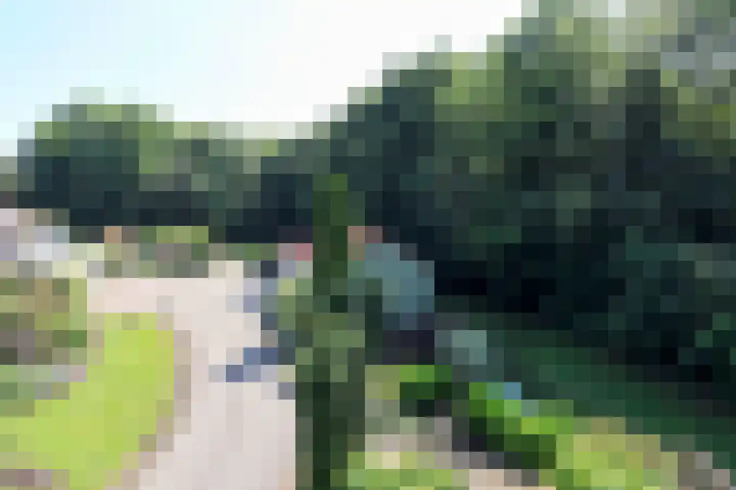 Marknesserweg 28 Marknesse thumbnail 5