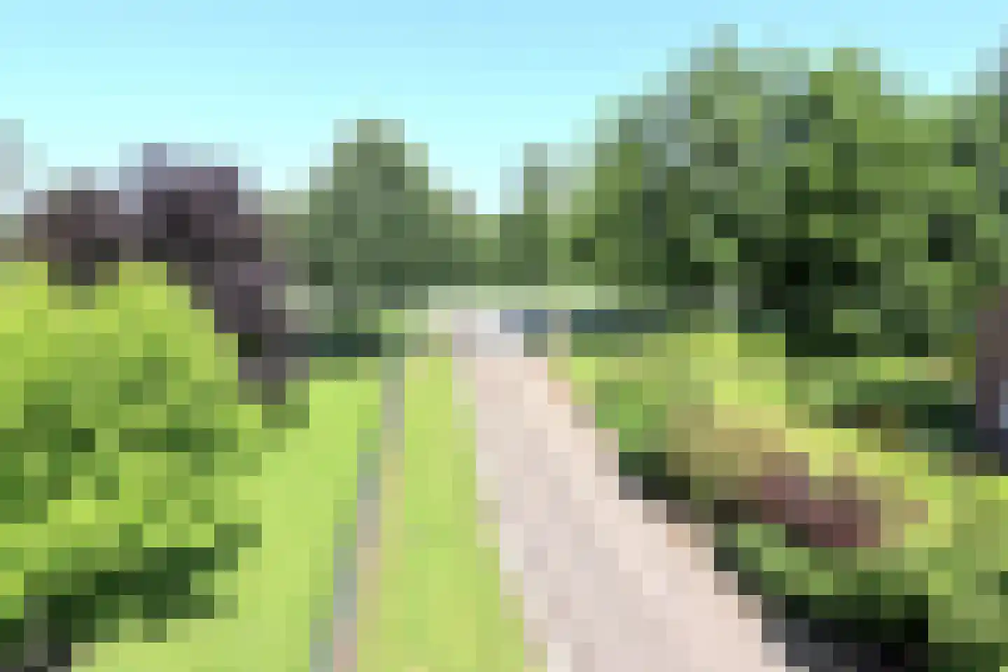 Marknesserweg 28 Marknesse thumbnail 6