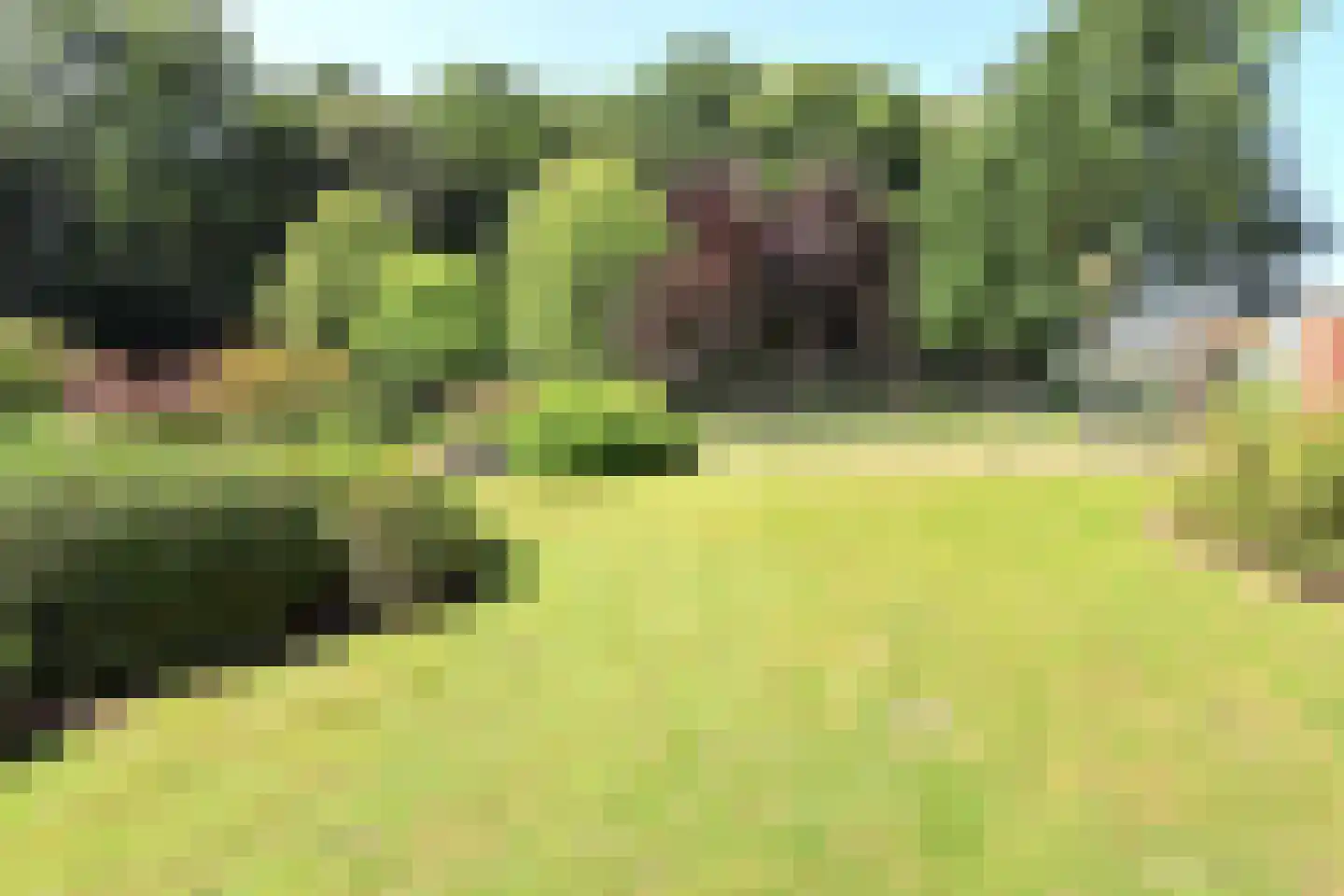 Marknesserweg 28 Marknesse thumbnail 8